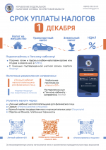 Срок уплаты НАЛОГОВ " 1 декабря".